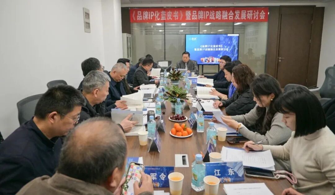 协同创新，融合共生！《品牌 IP 化蓝皮书》暨品牌 IP 战略融合发展研讨会圆满举办